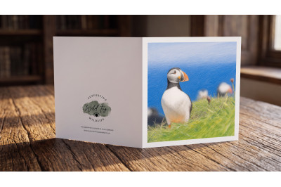 Puffins of Lunga Island Greeting Card